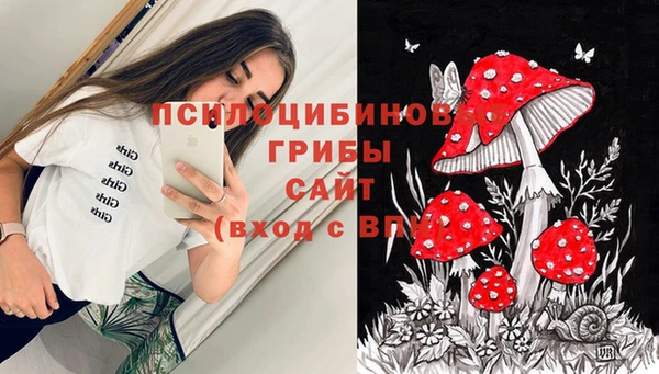 твердый Алексеевка
