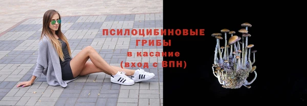 spice Алзамай