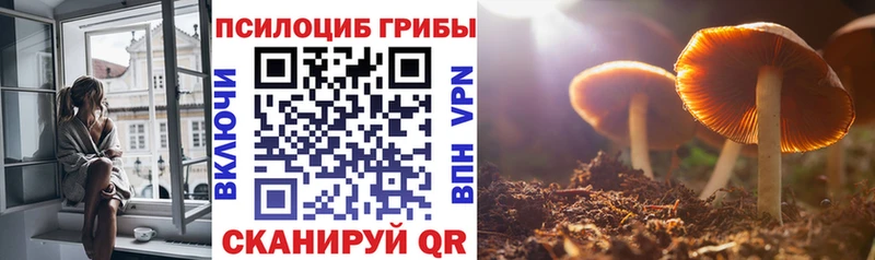 Псилоцибиновые грибы MAGIC MUSHROOMS  Зуевка 